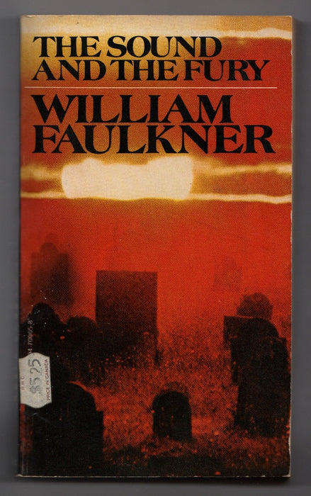 The Sound and the Fury by William Faulkner