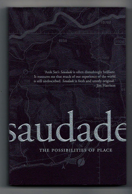 Saudade: The Possibilities of Place by Anik See