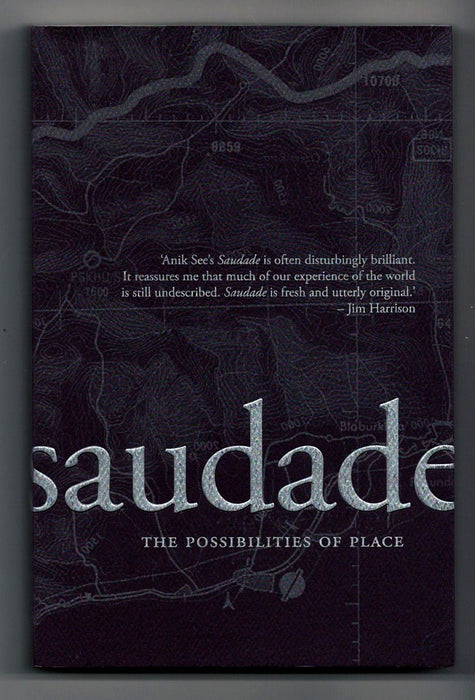 Saudade: The Possibilities of Place by Anik See